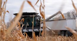 'Bear with me,' Trump says as both farmers and consumers brace for tariff effects