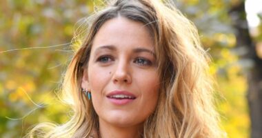 Blake Lively Seems Unfazed In Baking Selfie Amid Reports Of 'Physical Pain' From Justin Baldoni Dispute