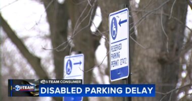 Brainerd, Chicago woman frustrated by long processing time to get disabled parking spot in front of home after car crash