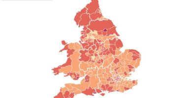 Britain's biggest 'baby deserts' are revealed amid terrifying threat of 'underpopulation': Interactive map shows how many children women have in YOUR area