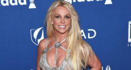 Britney Spears May Be Heading For A Career Comeback With Son Jayden