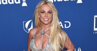 Britney Spears May Be Heading For A Career Comeback With Son Jayden