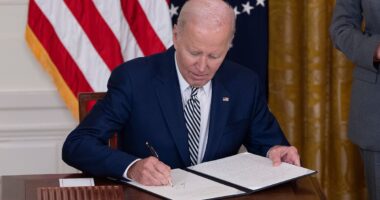 Can Trump actually void Biden pardons? Legal experts weigh in on the president's shock move