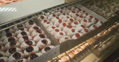 Celebrating Fat Tuesday 2025 with paczki at Rudy's Strudel and Bakery in Parma