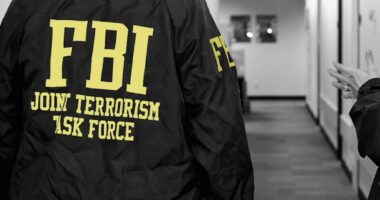 Chicago FBI terrorism task force new objective during President Donald Trump administration: Immigration enforcement