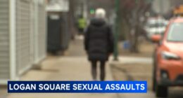 Chicago crime: Sexual assault suspect approaching victims from behind in Logan Square on West Palmer Street, police say