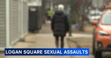 Chicago crime: Sexual assault suspect approaching victims from behind in Logan Square on West Palmer Street, police say