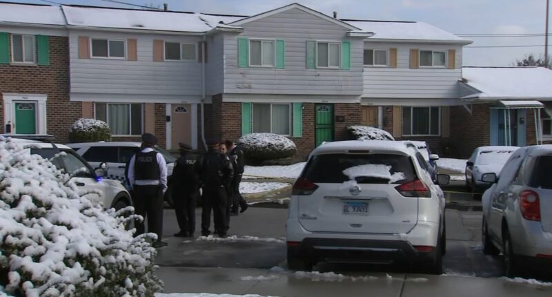 Chicago police shooting: Man involved in domestic incident shot, killed inside Pullman home on East 100th Street identified