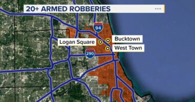 Chicago robberies: Armed robbery suspects with stolen car targeting people in Bucktown, Logan Square and West Town, CPD warns