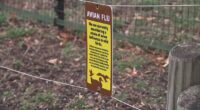 Columbus Zoo takes action to protect animals against bird flu