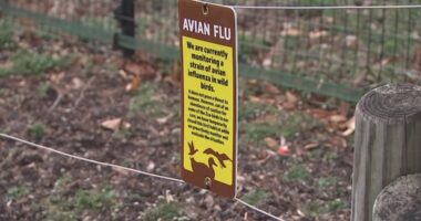 Columbus Zoo takes action to protect animals against bird flu