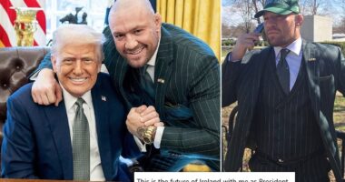 Conor McGregor announces he will run for PRESIDENT in Ireland after meeting with Donald Trump - as he poses in front of a private jet wearing a 'Make Ireland Great Again' hat