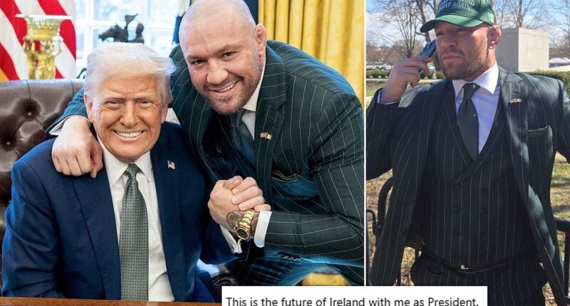 Conor McGregor announces he will run for PRESIDENT in Ireland after meeting with Donald Trump - as he poses in front of a private jet wearing a 'Make Ireland Great Again' hat