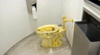 Court convicts thief Michael Jones, Fred Doe who stole golden toilet from English palace