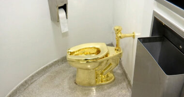 Court convicts thief Michael Jones, Fred Doe who stole golden toilet from English palace