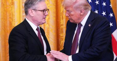 DAN HODGES: After THAT White House bust-up, the idea of Starmer rolling out the red carpet and asking our nation - and our King - to bend the knee to Donald Trump is not just sickening, it's politically untenable