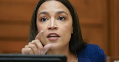 Dem Infighting Continues As Sen Slotkin Blasts AOC, Bernie and Jasmine: ‘What Have They Actually Done?’