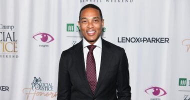 Don Lemon Claims He Was Sexually Harassed at CNN, Had Nipples 'Tweaked'