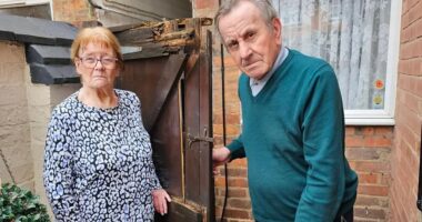 Dopey police raid 'terrified' elderly couple's home in search for cannabis farm after thermal camera mistook the heating in terraced home for drugs den