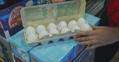 Egg substitutions can be easily found in your kitchen, non-profit says