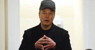 Elon Musk lashes out at Volodymyr Zelensky after Ukrainian President's rows with Donald Trump