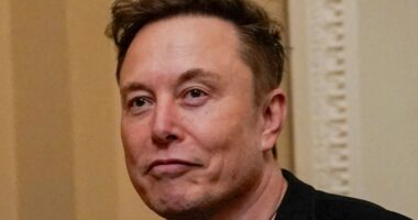 Elon Musk puts future of daylight saving in Americans hands after raising idea of canceling ritual