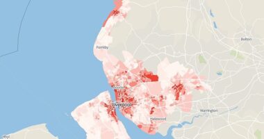 England and Wales's drug crime hotspots REVEALED... so use our interactive map of 37,000 neighbourhoods to see how YOUR area fares