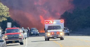 Evacuations ordered as 'fast-moving' wildfire erupts in wealthy Hamptons enclave