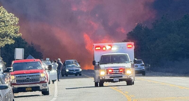 Evacuations ordered as 'fast-moving' wildfire erupts in wealthy Hamptons enclave