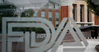 FDA staff return to crowded offices, broken equipment and missing chairs