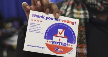 FINALLY! Voter ID May Be on the Ballot Statewide in California in 2026