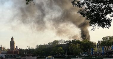 Fire at Disney's Epcot park in Florida sends crowds fleeing