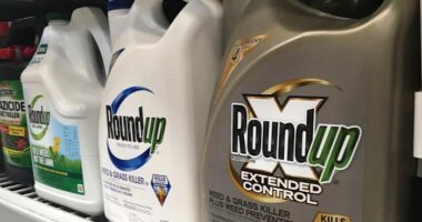 Georgia jury orders Monsanto parent to pay nearly $2.1 billion in Roundup weedkiller lawsuit