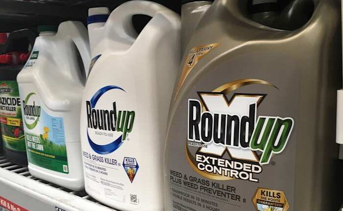 Georgia jury orders Monsanto parent to pay nearly $2.1 billion in Roundup weedkiller lawsuit