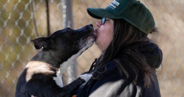 Goofy nicknames for shelter dogs go viral, boost adoptions