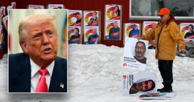 Greenland’s opposition party pushes closer US ties, independence from Denmark as Trump plays big in election