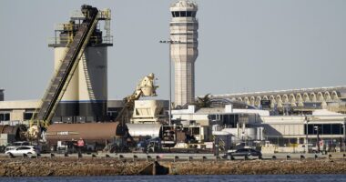 Ground stop ordered at Washington DC's Ronald Reagan Airport weeks after deadly mid-air crash