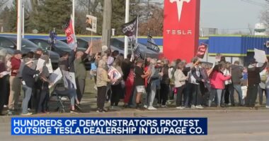 Group holds Lisle protest outside Tesla car dealership in opposition of Donald Trump, Elon Musk's DOGE cuts