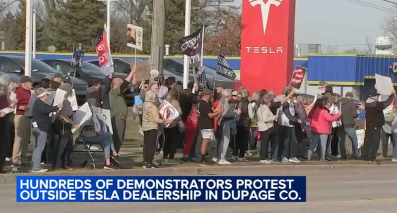 Group holds Lisle protest outside Tesla car dealership in opposition of Donald Trump, Elon Musk's DOGE cuts