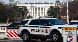 Gunman shot outside White House by Secret Service team after pulling out weapon when confronted by agents