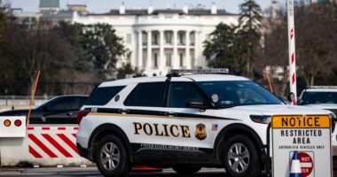 Gunman shot outside White House by Secret Service team after pulling out weapon when confronted by agents