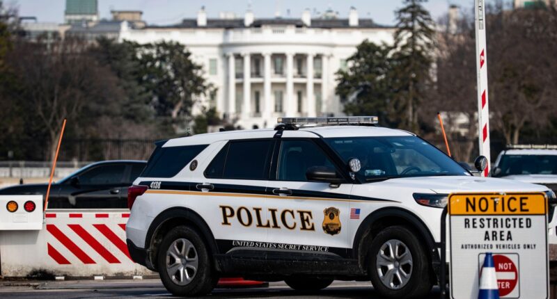 Gunman shot outside White House by Secret Service team after pulling out weapon when confronted by agents