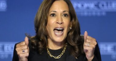 Hilarious New Book Excerpt About Kamala and 'Chairs' Proves Just How Lucky Americans Are She Lost