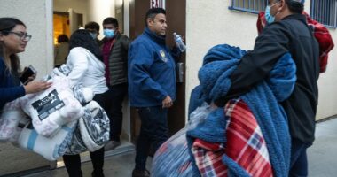 Horror as twisted illegal migrants commit horrendous crime in Sanctuary City that ignored series of warning signs