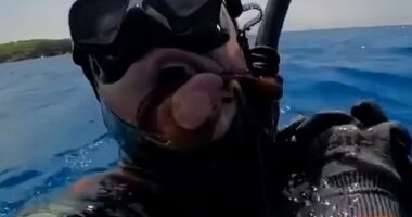 Horror moment octopus STRANGLES panicking diver rushing to the surface for air after spraying blinding ink in his face