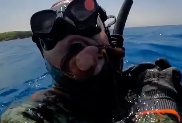 Horror moment octopus STRANGLES panicking diver rushing to the surface for air after spraying blinding ink in his face