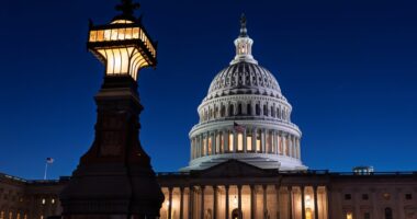 House Speaker Mike Johnson's top aide arrested on driving under the influence charge after President Donald Trump Congress speech