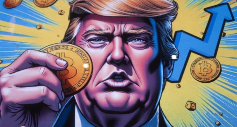 How to cash in on the crypto craze (without losing everything) as Trump vows to make America the 'crypto capital of the world'