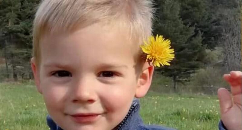 Huge twist in case of missing Émile Soleil, 2, as his grandparents arrested for MURDER 2yrs after he vanished in France