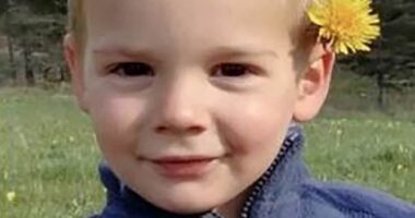 Huge twist in death of little Emile as grandparents and two other family members are arrested on suspicion of murder and hiding his corpse two years after toddler vanished in French Alps